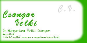 csongor velki business card